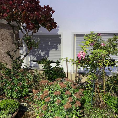 Moderne Souterrain-Oase In Top-Lage Bad Hersfeld Luaran gambar