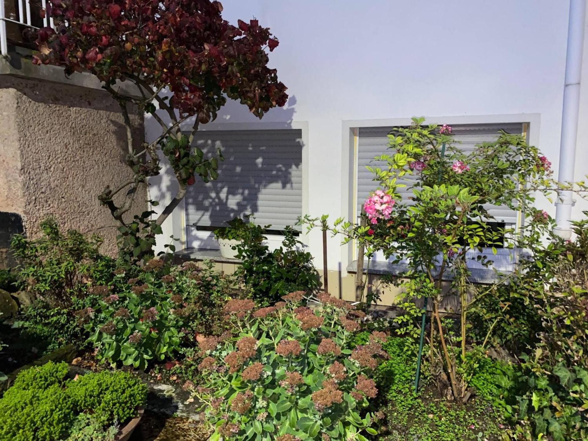 Moderne Souterrain-Oase In Top-Lage Bad Hersfeld Luaran gambar